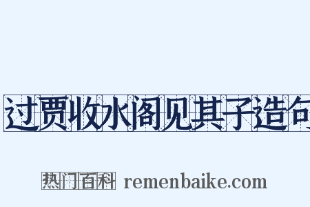 过贾收水阁见其子造句是什么意思的图片